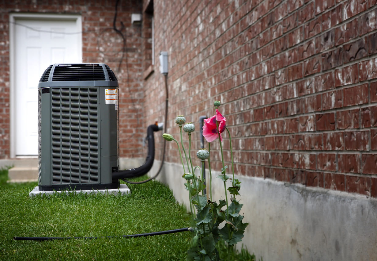 AC Unit and Flower