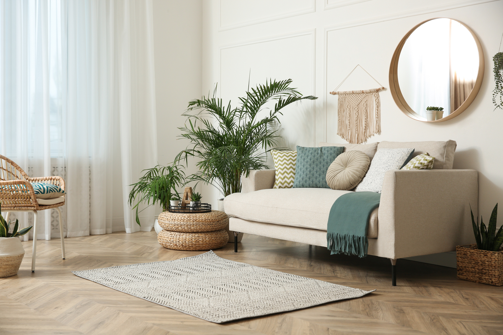 Living Room with Plants