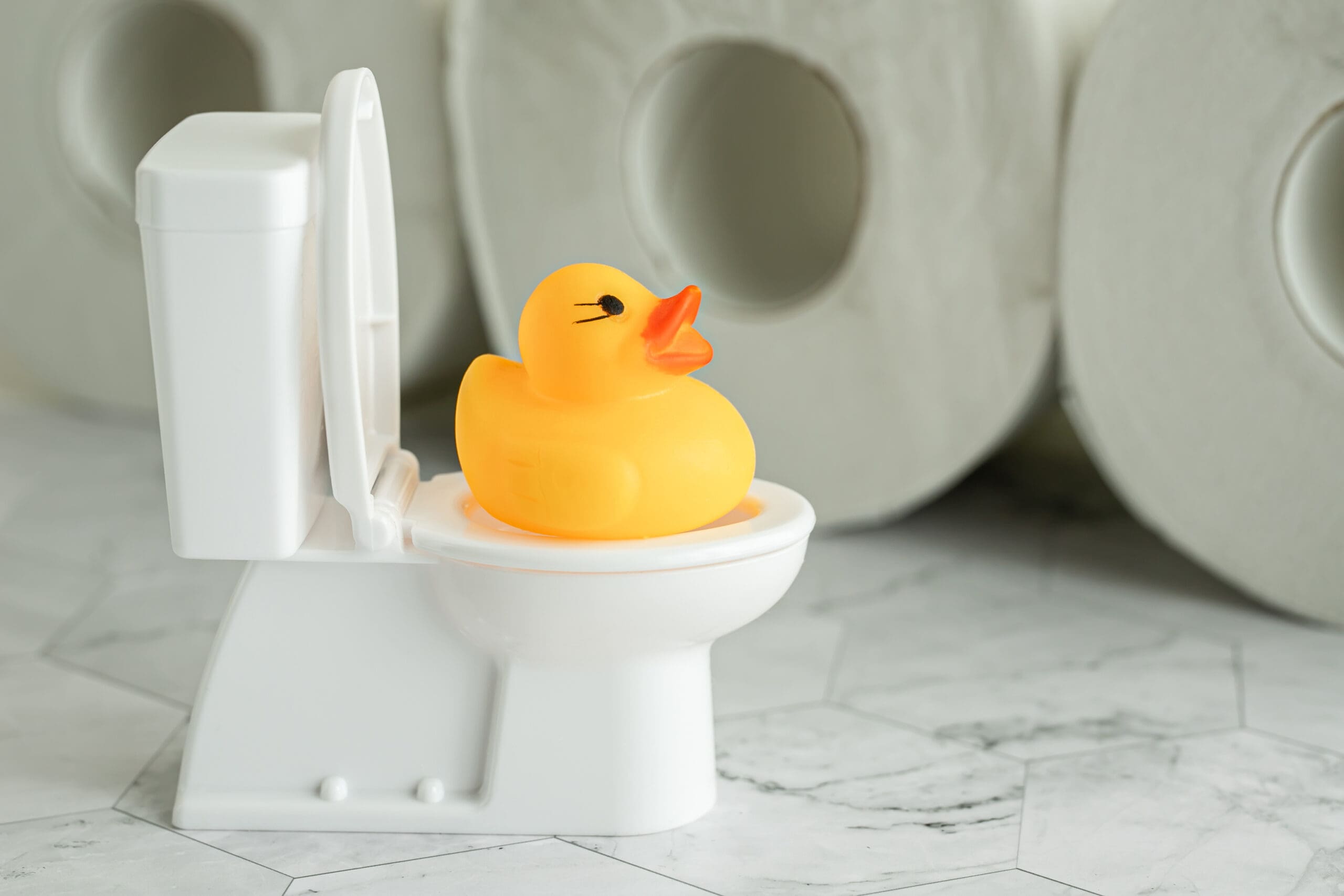 Toilet and Rubber Ducky